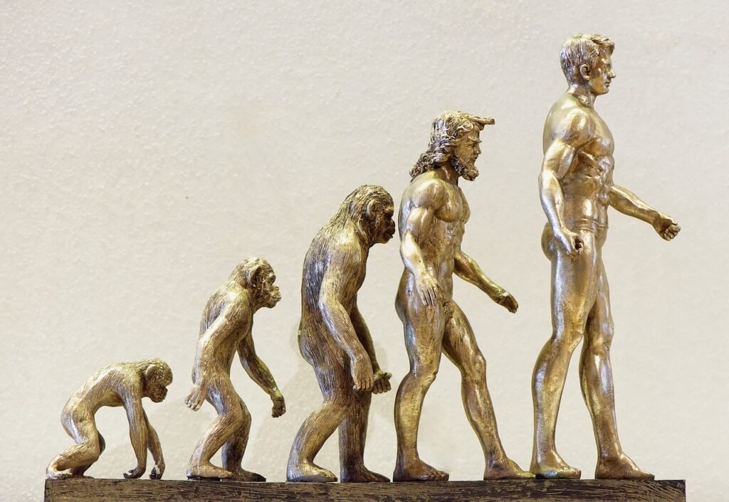 evolution, development, future-4107273.jpg
